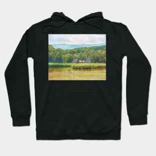 Astra Museum's windmills, in Sibiu Hoodie